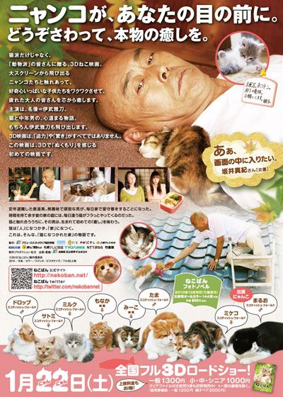映画『ねこばん3D とび出すにゃんこ』の画像（3枚目）