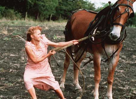 映画『プレイス・イン・ザ・ハート』の画像（3枚目）