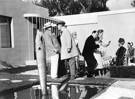 映画『ぼくの伯父さん』の画像（5枚目）