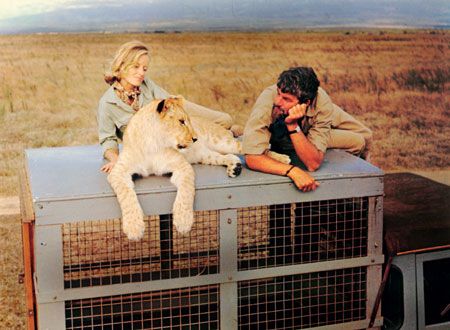 映画『野生のエルザ』の画像（2枚目）