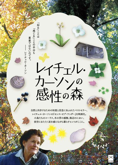 映画『レイチェル・カーソンの感性の森』の画像（2枚目）