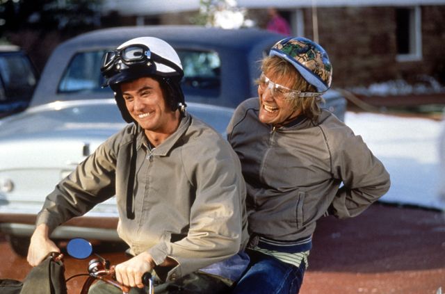 映画『ジム・キャリーはMr.ダマー』の画像（2枚目）