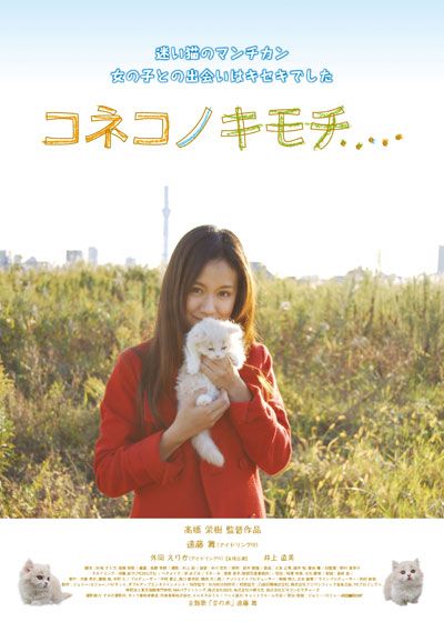映画『コネコノキモチ』の画像（2枚目）