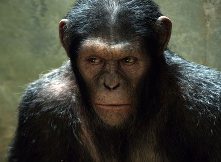 映画『猿の惑星：創世記（ジェネシス）』の画像（5枚目）