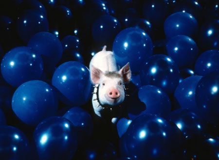 映画『ベイブ/都会へ行く』の画像（2枚目）