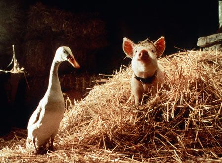 映画『ベイブ/都会へ行く』の画像（3枚目）