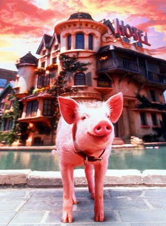 映画『ベイブ/都会へ行く』の画像（4枚目）