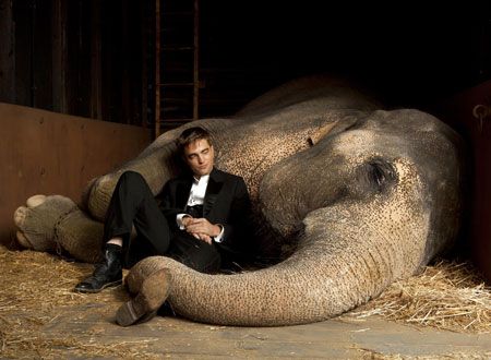 映画『恋人たちのパレード』の画像（7枚目）