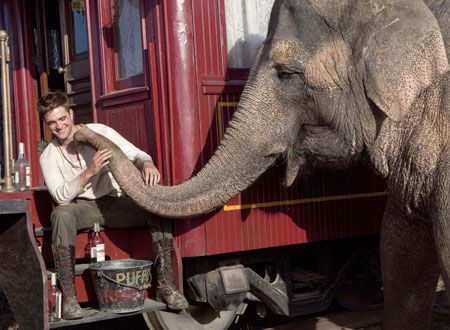 映画『恋人たちのパレード』の画像（8枚目）