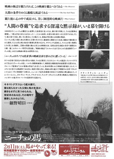映画『ニーチェの馬』の画像（3枚目）
