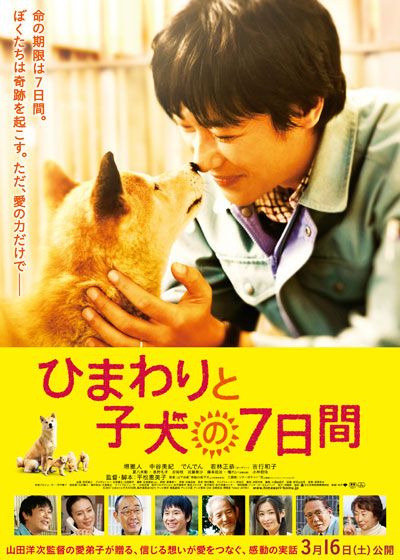 映画『ひまわりと子犬の7日間』の画像（2枚目）