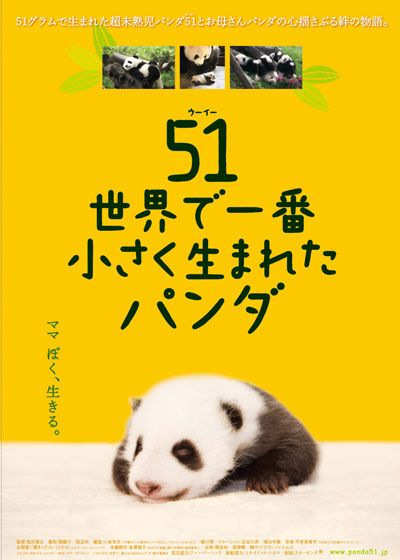 映画『51(ウーイー) 世界で一番小さく生まれたパンダ』の画像（2枚目）