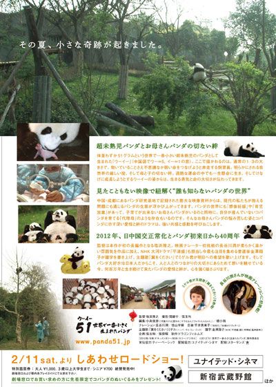 映画『51(ウーイー) 世界で一番小さく生まれたパンダ』の画像（3枚目）