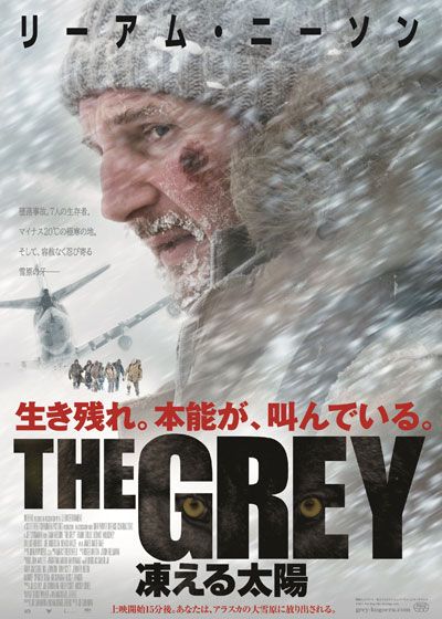 映画『THE GREY 凍える太陽』の画像（2枚目）