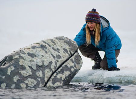 映画『だれもがクジラを愛してる。』の画像（4枚目）