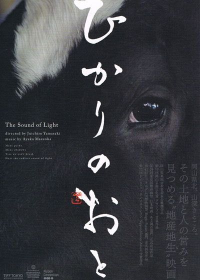 映画『ひかりのおと』の画像（2枚目）