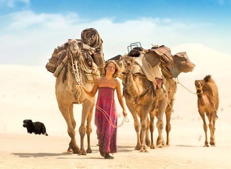 奇跡の2000マイル