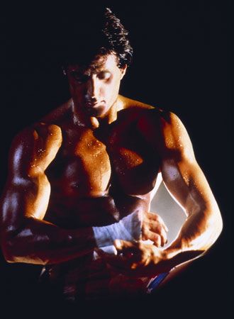 映画『ロッキー5/最後のドラマ』の画像（4枚目）