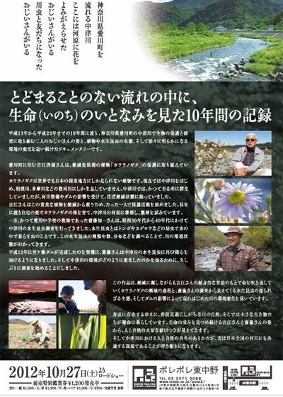 映画『流　ながれ』の画像（3枚目）