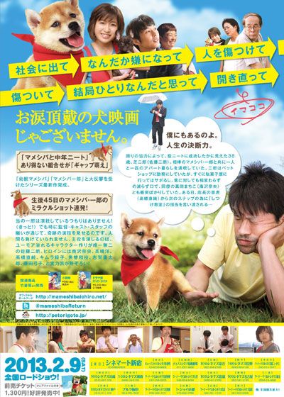 映画『映画版 マメシバ一郎 フーテンの芝二郎』の画像（3枚目）