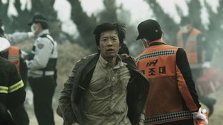 ヨンガシ 変種増殖