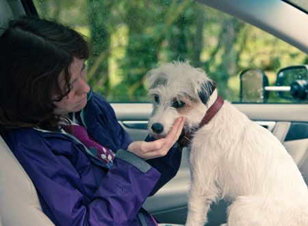 映画『サイトシアーズ　～殺人者のための英国観光ガイド～』の画像（8枚目）