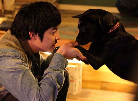 人間万事塞翁が犬