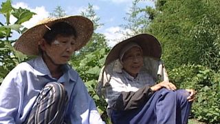 食卓の肖像