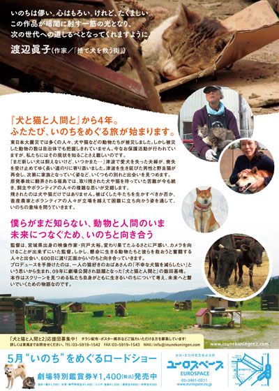 映画『犬と猫と人間と2 動物たちの大震災』の画像（3枚目）