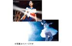 特製“エロスの天使”佐々木心音ヌーディー生写真~全8種、超ヌーディー写真もあり!!~