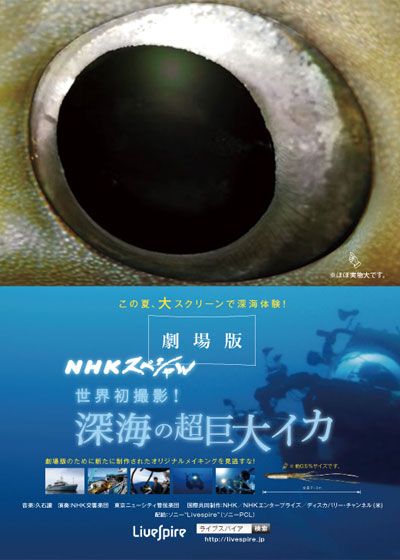 Livespire 「劇場版 NHKスペシャル 世界初撮影!深海の超巨大イカ」