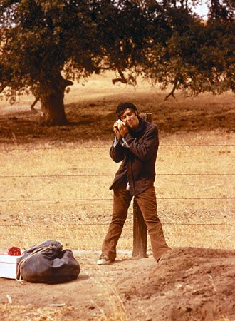 映画『スケアクロウ』の画像（3枚目）