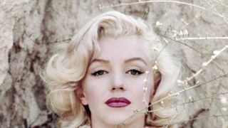 マリリン・モンロー 瞳の中の秘密