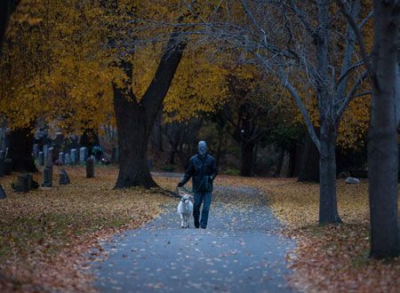 映画『ロード・オブ・セイラム』の画像（5枚目）