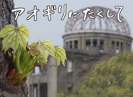 アオギリにたくして
