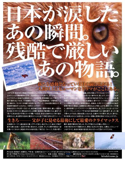 映画『キタキツネ物語　－35周年リニューアル版－』の画像（3枚目）