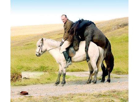 馬々と人間たち