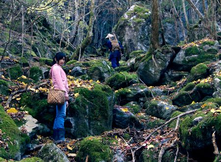祖谷物語　－おくのひと－