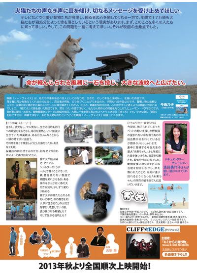 映画『ノー・ヴォイス』の画像（2枚目）