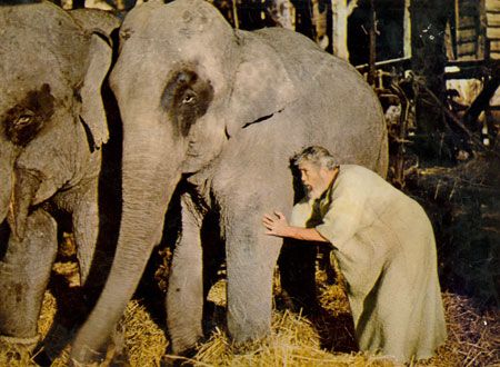 映画『天地創造』の画像（4枚目）