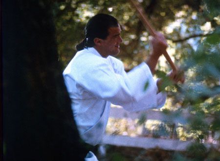 映画『ハード・トゥ・キル』の画像（2枚目）