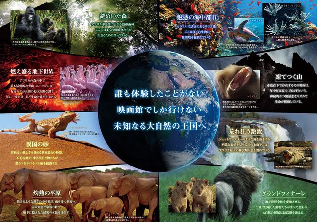 映画『ネイチャー』の画像（3枚目）