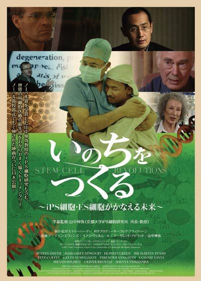 映画『いのちをつくる～iPS細胞・ES細胞がかなえる未来～』の画像（2枚目）