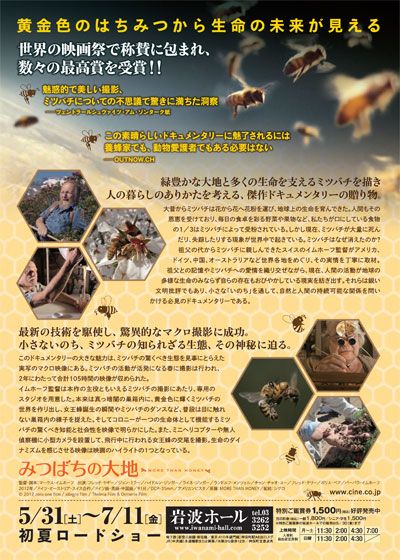 映画『みつばちの大地』の画像（3枚目）