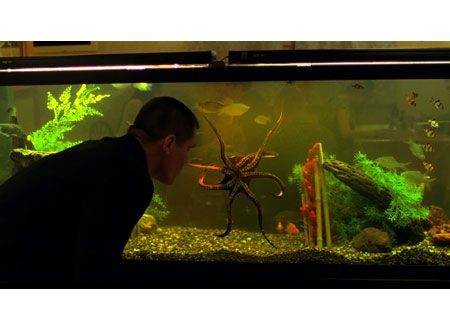 映画『オールド・ボーイ』の画像（26枚目）