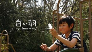 白い羽 "Light from Phony"