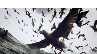 リヴァイアサン