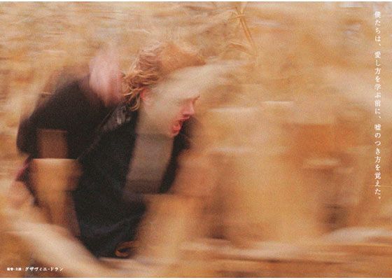 映画『トム・アット・ザ・ファーム』の画像（4枚目）