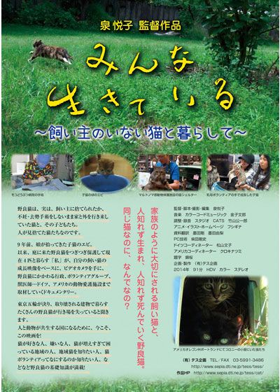映画『みんな生きている～飼い主のいない猫と暮らして～』の画像（2枚目）