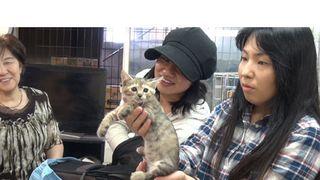 みんな生きている～飼い主のいない猫と暮らして～